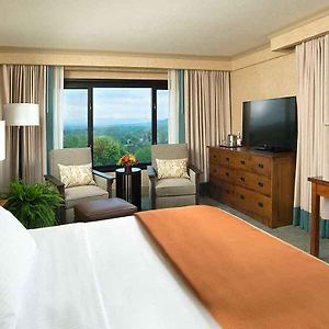 Premium Panorama Corner Room 1 King Bed